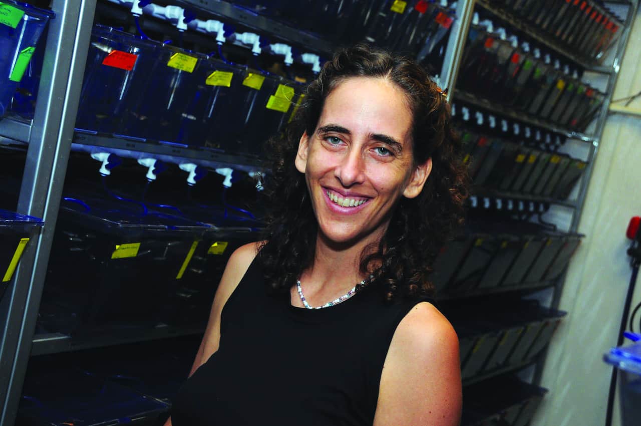 Corrie Painter, Ph.D.