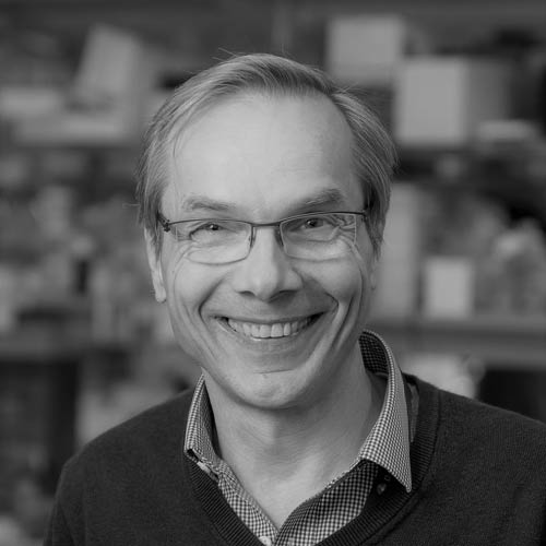 Kai W. Wucherpfennig, M.D., Ph.D.