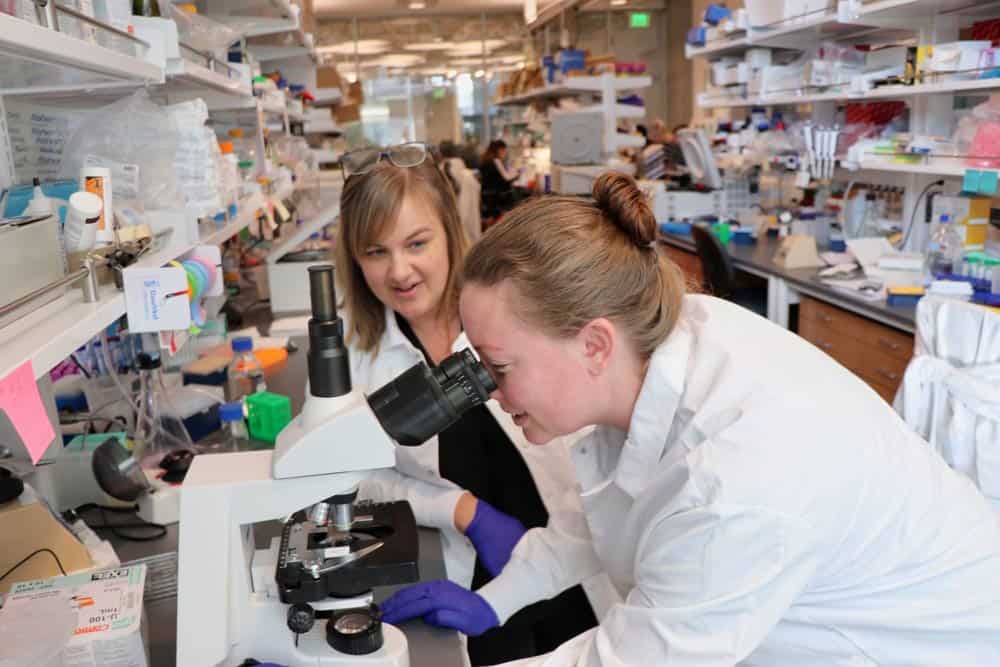 Amanda Lund, Ph.D., in her lab at Oregon Health and Science University
