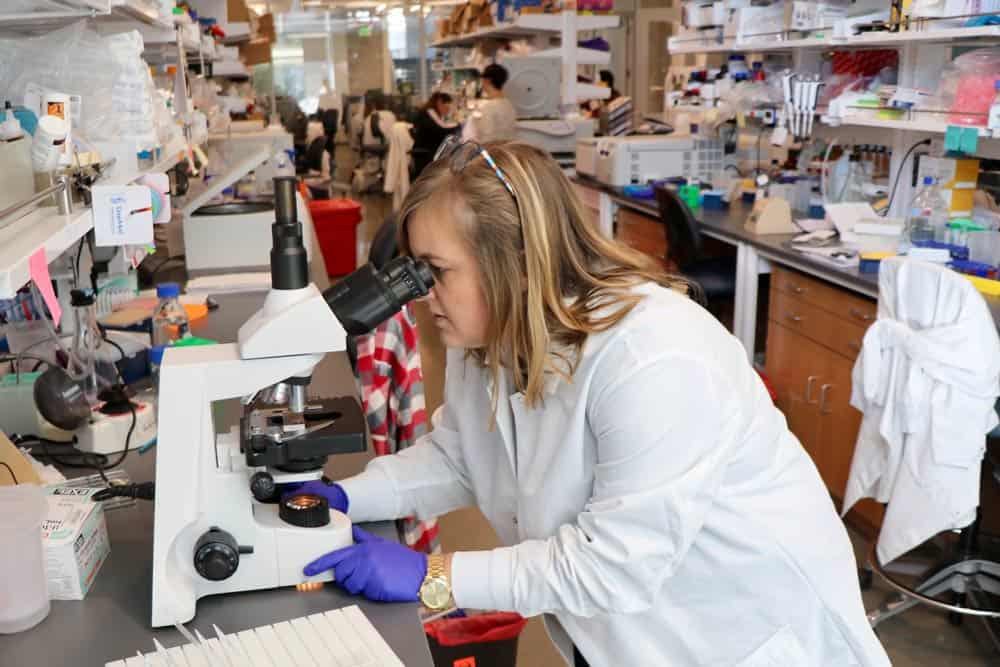 Amanda Lund, Ph.D., in her lab at Oregon Health and Science University