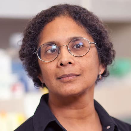 Anjana Rao, Ph.D.