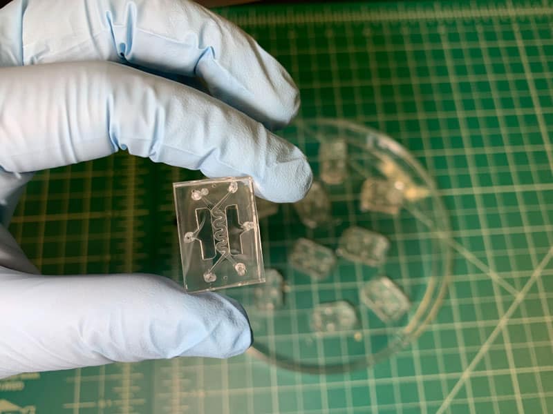 Dr. Hyun Jung Kim CRC-on-a-chip devices. Photo courtesy of Dr. Hyun Jung Kim