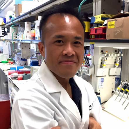 Stephen Mok, Ph.D. MD Anderson