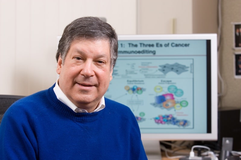 Dr. Schreiber, with a visual diagram describing his cancer immunoediting theory