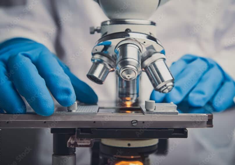 immunotherapy closeup view with a microscope