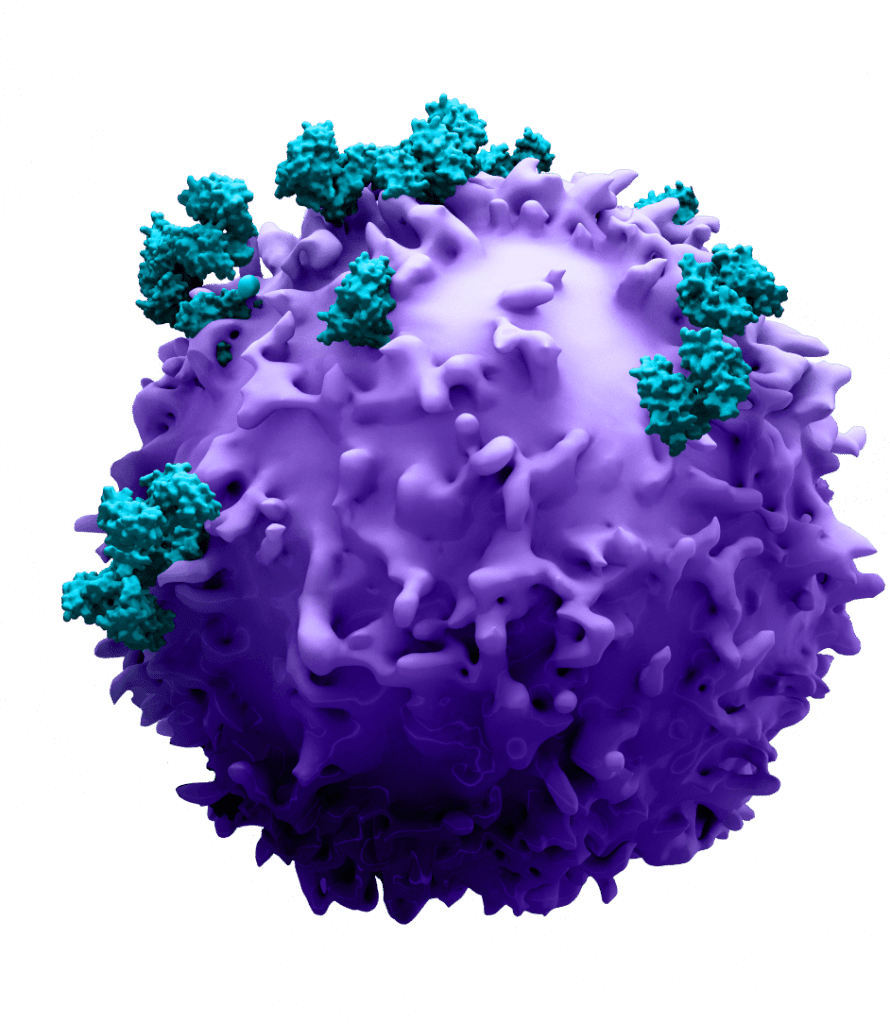 Large colorized cancer celll